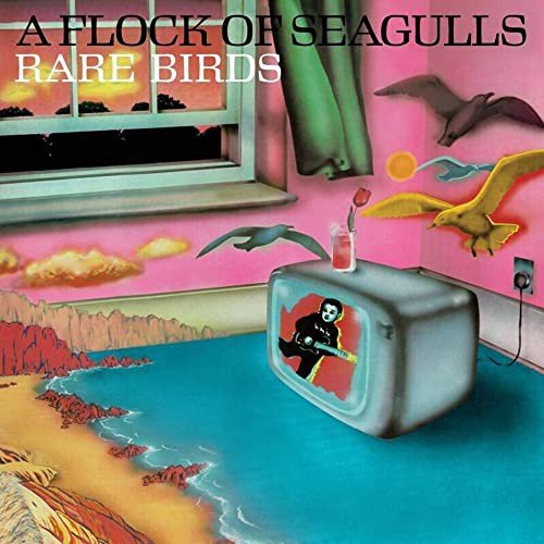Rare Birds - 'A Flock Of Seagulls' B-Sides, Edits And Alternate Mixes (RSD 2023 Ex), płyta winylowa Flock Of Seagulls
