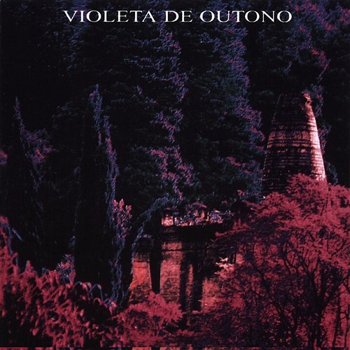 Raridade Plug Violeta De Outono