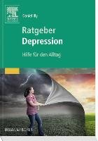 Ratgeber Depression Illy Daniel