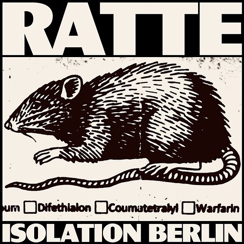 Ratte Isolation Berlin