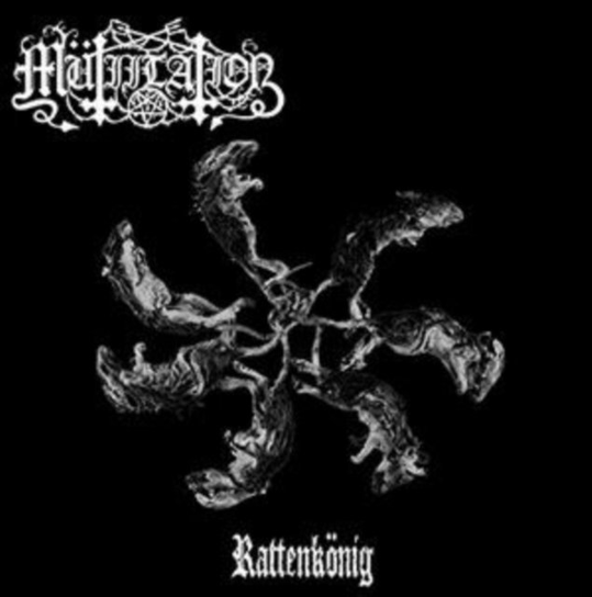 Rattenkonig Mutiilation