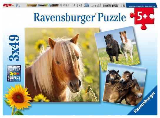 Ravensburger, puzzle, Konie, 3x49 el. Ravensburger