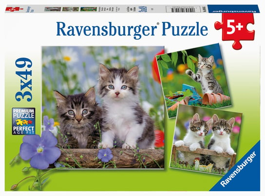 Ravensburger, puzzle, Kotki, 3x49 el. Ravensburger