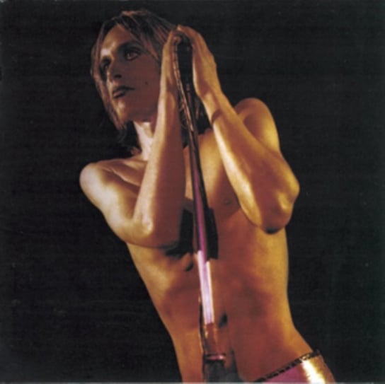 Raw Power Iggy and the Stooges