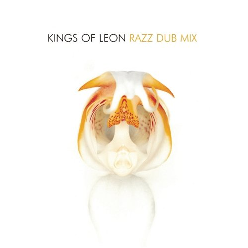 Razz Kings Of Leon