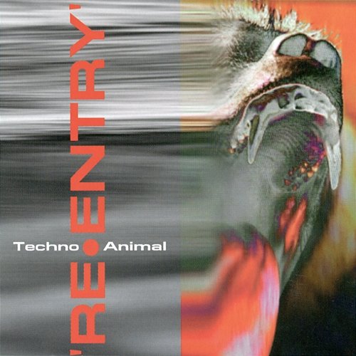 Re-Entry Techno Animal