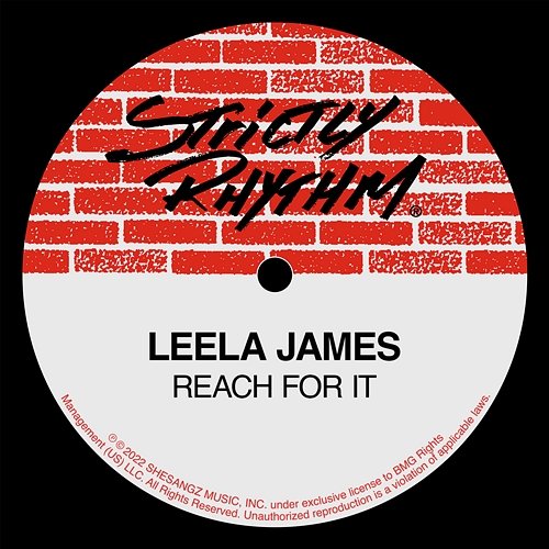 Reach For It Leela James