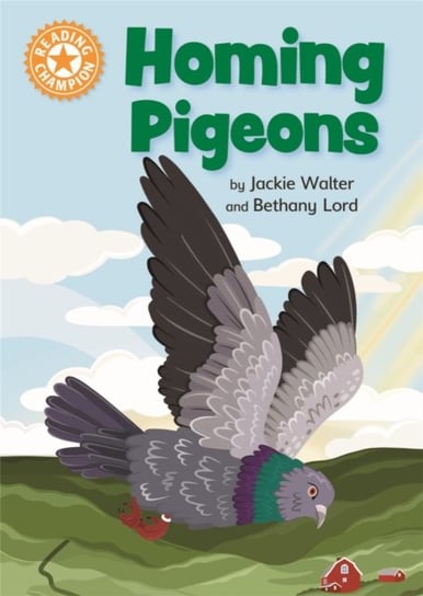 Reading Champion: Homing Pigeons: Independent Reading Orange 6 Non-fiction Jackie Walter