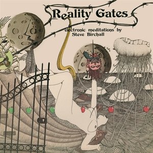 Reality Gates, płyta winylowa Birchall Steve