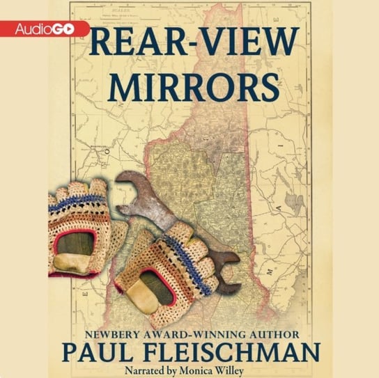 Rear-View Mirrors Fleischman Paul