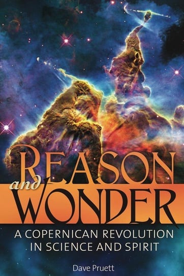 Reason and Wonder Pruett Charles David