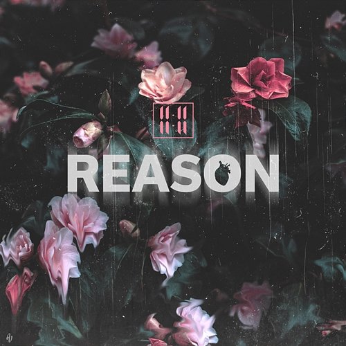 Reason 11:11