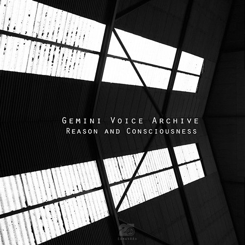 Reason & Conciousness Gemini Voice Archive