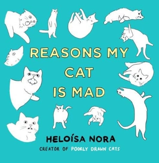 Reasons My Cat Is Mad Heloisa Nora
