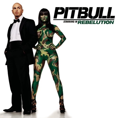 Rebelution Remix Pitbull