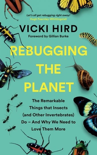 Rebugging the Planet: The Remarkable Things that Insects (and Other Invertebrates) Do - And Why We N Vicki Hird