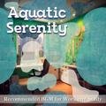 Recommended Bgm for Work and Study Aquatic Serenity