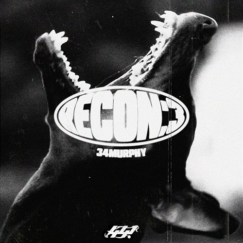 recon:3 34murphy