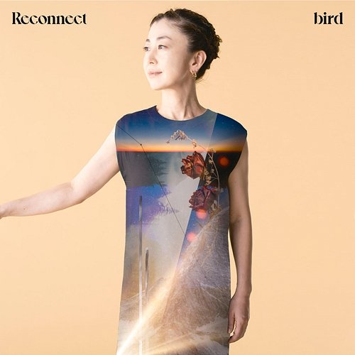 Reconnect Bird