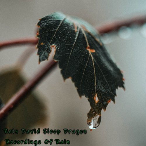 Recordings of Rain Rain David Sleep Dragon