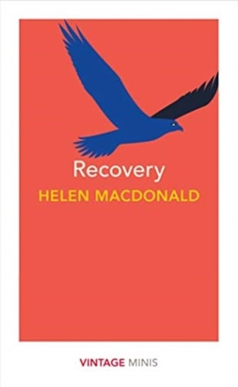 Recovery: Vintage Minis Macdonald Helen