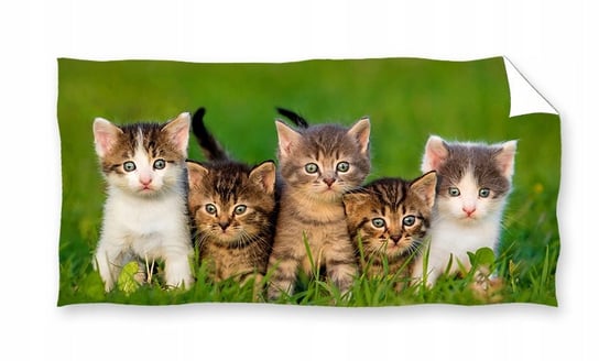 Ręcznik dla dziewczynki w kotki 70x140 piękny Pościel Szpulka