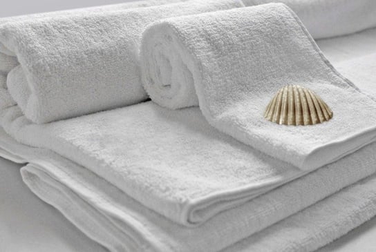 Ręcznik hotelowy, biały, 50x100 cm Darymex