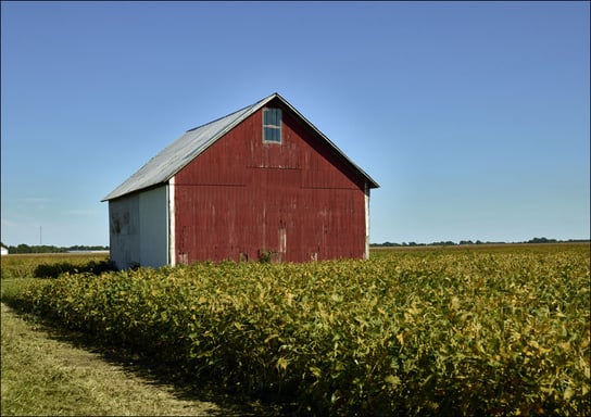 Red barn in a field., Carol Highsmith - plakat 100x70 cm Galeria Plakatu