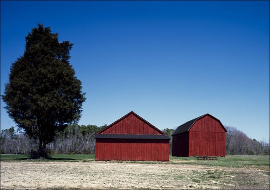 Red barns ion a tidy Amish farm in St. Mary’s County, Maryland., Carol Highsmith - plakat 100x70 cm Galeria Plakatu