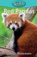 Red Pandas Blakemore Victoria