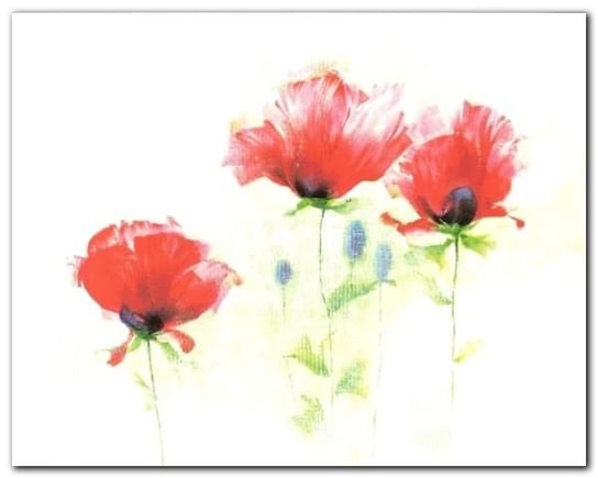 Red Poppies II plakat obraz 30x24cm Wizard+Genius