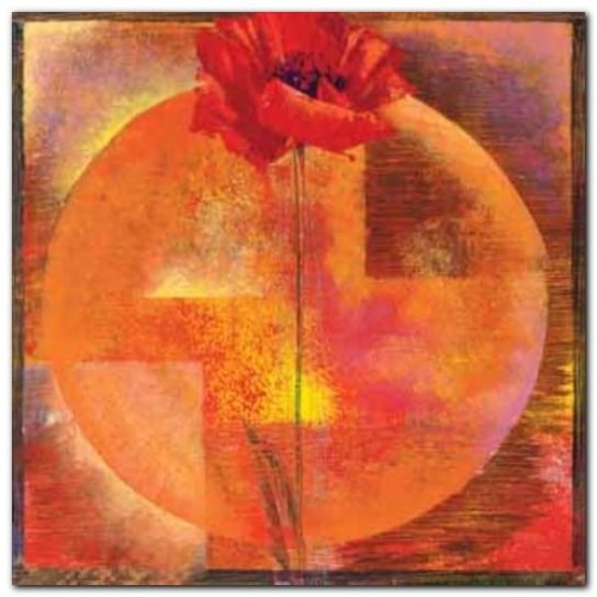 Red Poppy plakat obraz 50x50cm Wizard+Genius