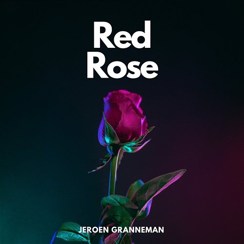 Red Rose Jeroen Granneman