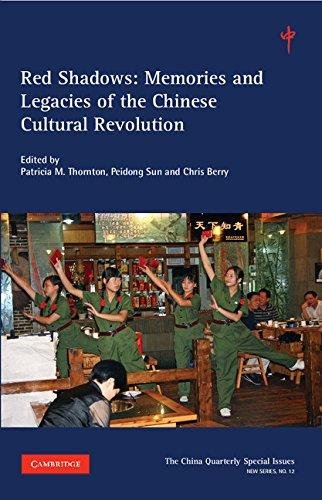 Red Shadows: Volume 12: Memories and Legacies of the Chinese Cultural Revolution Chris Berry