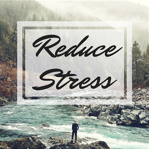 Reduce Stress – Soothing Nature Sounds to Calm Down, Meditation and Yoga, Better Concentration and Sleep, Insomnia Cure Stress No More