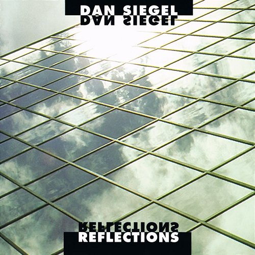Reflections Dan Siegel