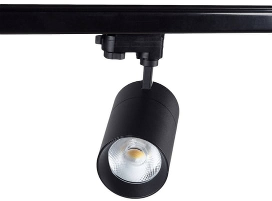 Reflektor LED z przełącznikiem Blaupunkt RS3-30CCT 30W biały Blaupunkt