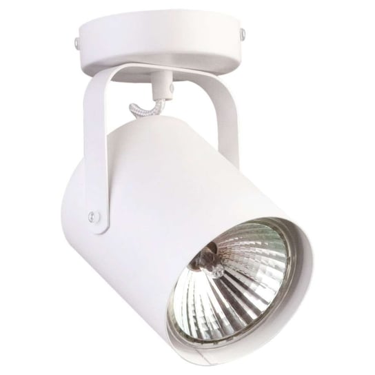Reflektorek LAMPA sufitowa FLESZ E27 31095 Sigma regulowana OPRAWA metalowy spot biały Sigma