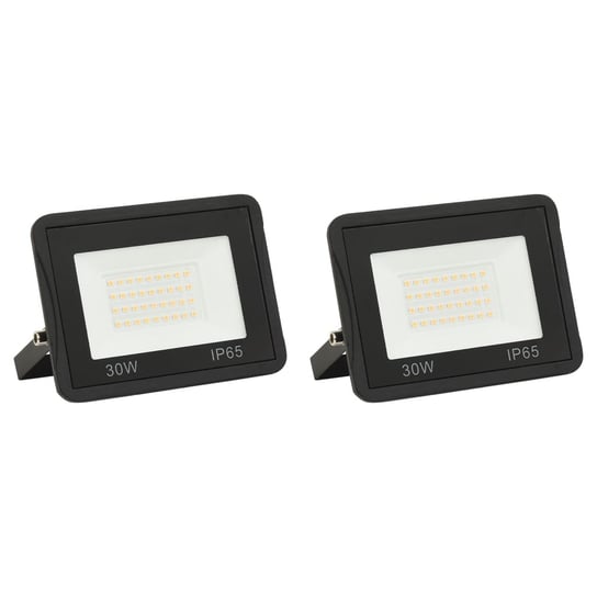 Reflektory LED, 2 szt., 30 W, zimne białe światło vidaXL