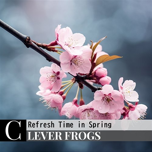 Refresh Time in Spring Clever Frogs