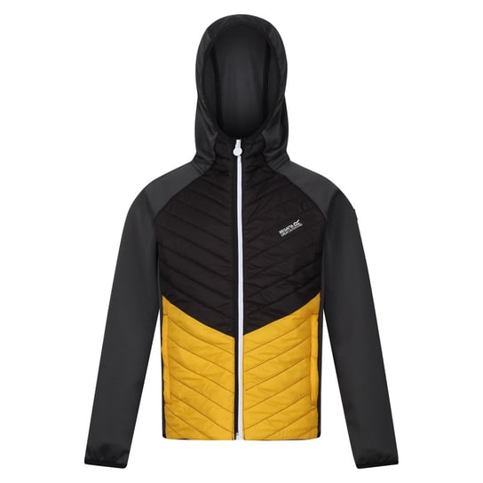 Regatta Kurtka Dziecięca/dziecięca Kielder Hybrid VII Padded Jacket (104 / Siwe) REGATTA