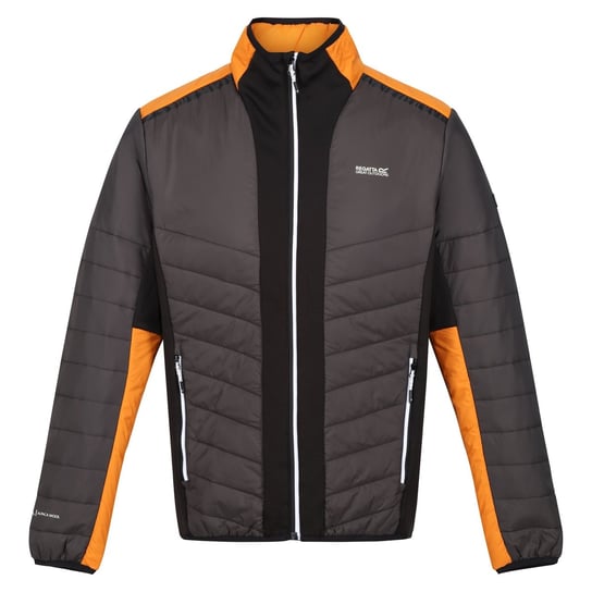 Regatta Męska Kurtka Halton VII Contrast Panel Baffled Padded Jacket (3XL / Siwe) REGATTA