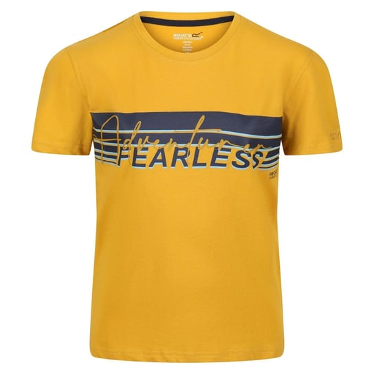 Regatta T-Shirt Dziecięca Paski Bosley V (104 / Żółty) REGATTA