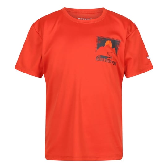 Regatta T-Shirt Dziecięca Z Motywem Zachodu Słońca Alvarado VII (128 / Rdzawy) REGATTA