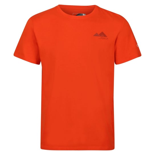 Regatta T-Shirt Męska Logo Breezed III (XL 8,5-9 / Rdzawy) REGATTA