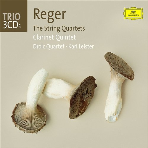 Reger: Quintet in A for Clarinet and 4 Strings, Op.146 - 1. Moderato ed amabile Karl Leister, Drolc Quartet