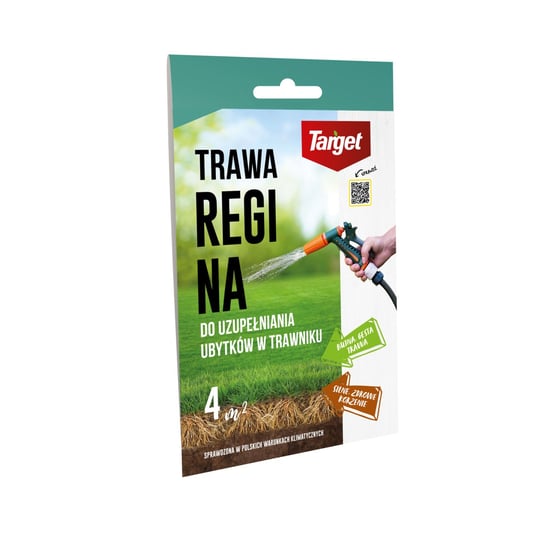 Regina 100 g nasiona trawy do uzupełniania ubytków w trawniku Target