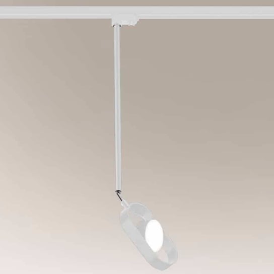 Regulowana LAMPA sufitowa FUROKU 7967 Shilo metalowa OPRAWA reflektorek LED 6W 3000K do systemu szynowego biały Shilo