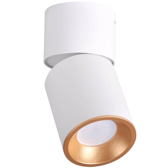 Regulowana Lampa sufitowa Nixa downlight tuba biała złota POLUX