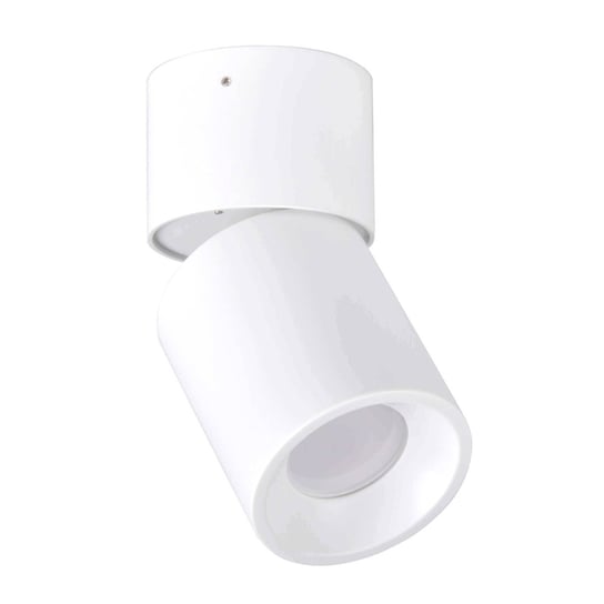 Regulowana tuba NIXA 314239 Polux sufitowa lampa biurowa biała POLUX